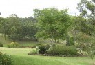 Chowan Creekresidential-landscaping-40.jpg; ?>